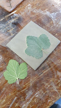 Load image into Gallery viewer, May 2025: Design and make your own ceramic coasters or decorative tiles with contemporary Mediterranean-inspired techniques