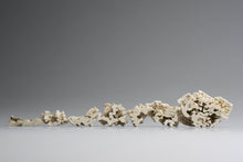 Load image into Gallery viewer, Square black box frame with ceramic.''Giants Causeway''