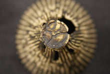 Load image into Gallery viewer, Abstract ceramic sculpture with unique shape and texture