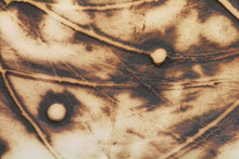 Load image into Gallery viewer, Abstract ceramic sculpture vessel with unique texture - solar