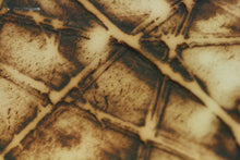 Load image into Gallery viewer, Abstract ceramic sculpture vessel with unique texture - solar