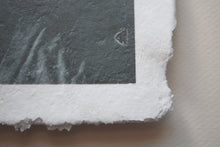 Load image into Gallery viewer, Digital photograph on fine bone china with a paper looking texture - ''Familiar''