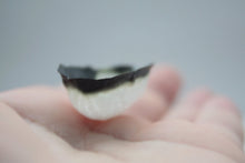 Load image into Gallery viewer, Walnut shells from fine bone china with burnt looking finish effect, stoneware porcelain