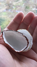 Load image into Gallery viewer, Walnut shells from stoneware fine bone china and real gold and copper finish, stoneware porcelain