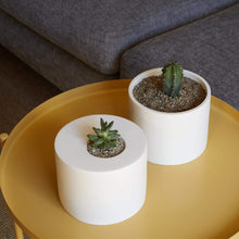 Load image into Gallery viewer, One to one / Mentoring and coaching