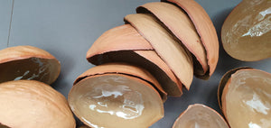 Big walnut shells in earthy woody colour in stoneware with clear glossy interior , ring dish - ring holder